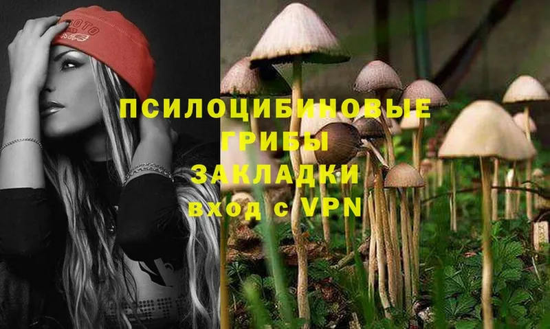 Галлюциногенные грибы MAGIC MUSHROOMS  наркота  Буйнакск 